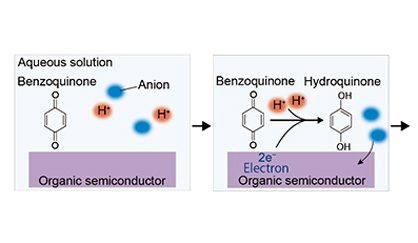 Chemical doping of organic semiconductor thin films in aqueous solutions