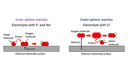 Figure. Inner- and outer-sphere pathways dependent on electrolyte cations for oxygen reduction reaction