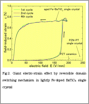 eLXg {bNX:  
Fig.2. Giant electro-strain effect by reversible domain switching mechanism in lightly Fe-doped BaTiO3 single crystal
