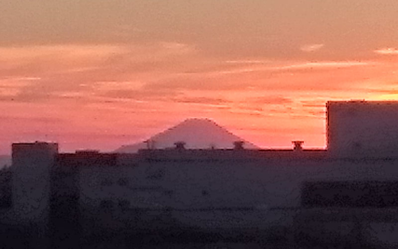 風景写真が掲示されています