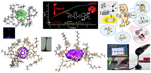 Functional Molecular Liquids