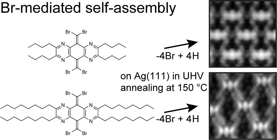 Title:Dissociated Bromine and Alkyl group