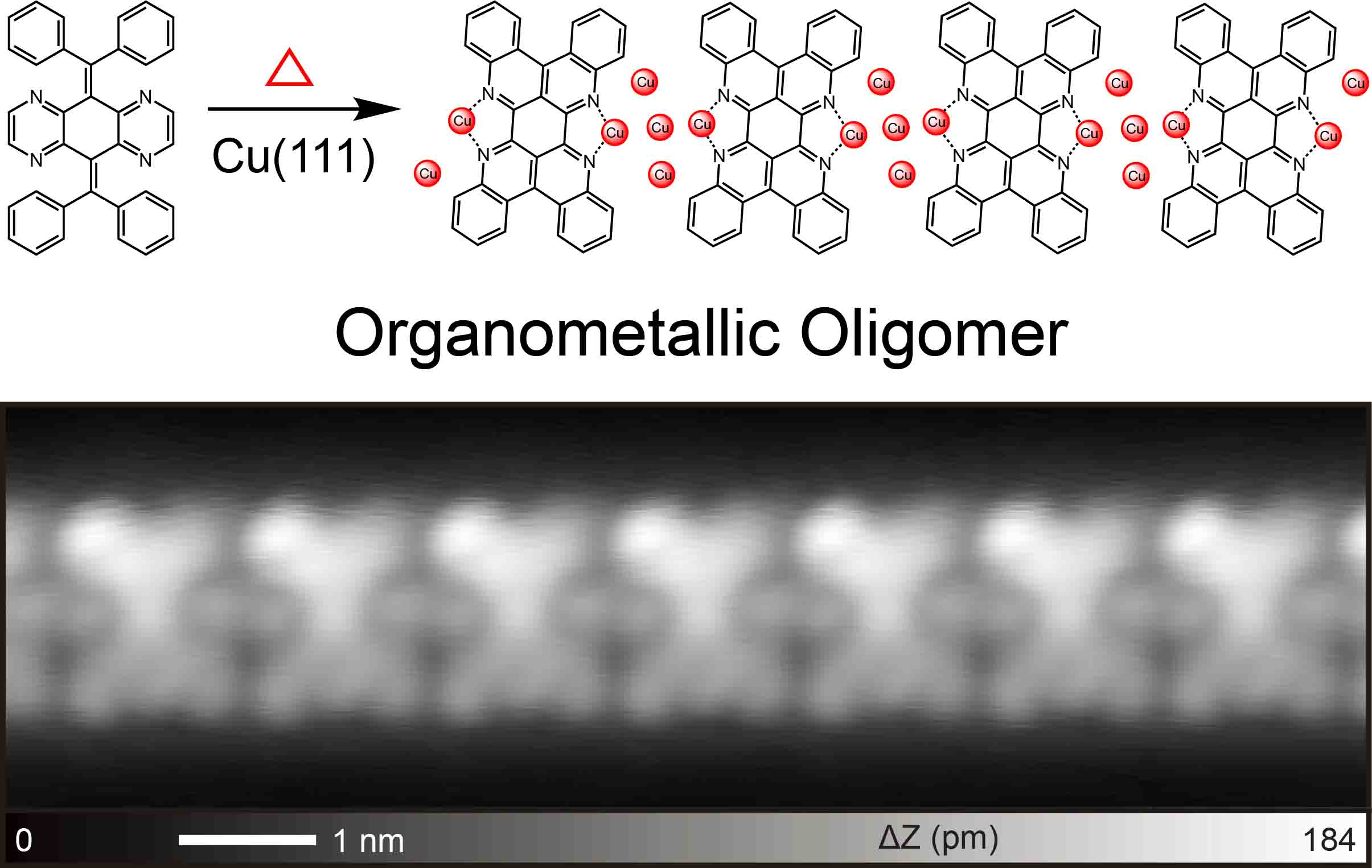 Title:Multiple Cu Adatom Briged Oligomer