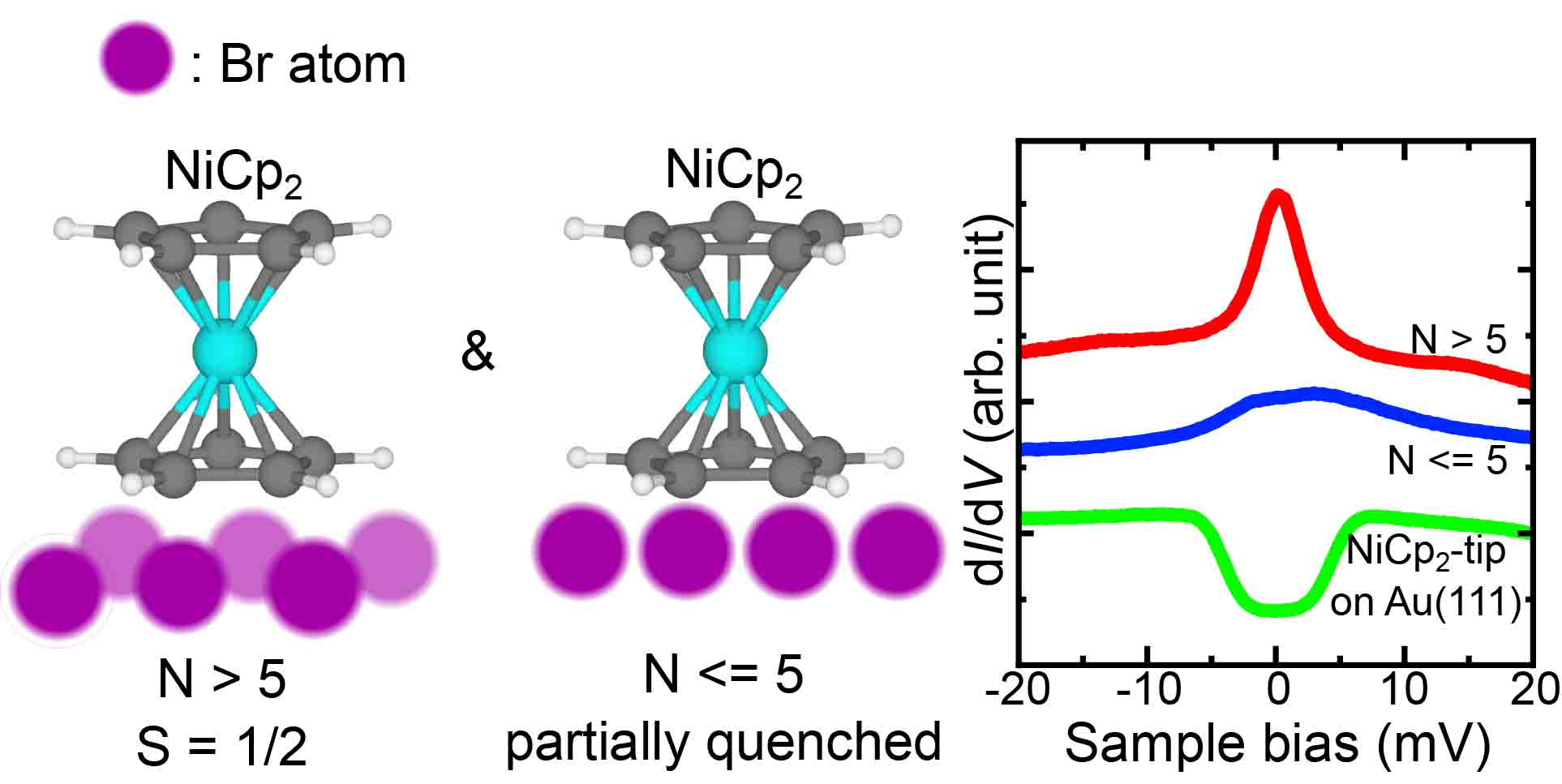 Title:Nickelocene spin