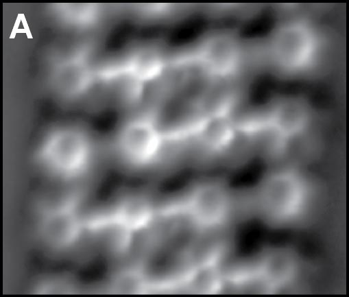 Title:single_molecule