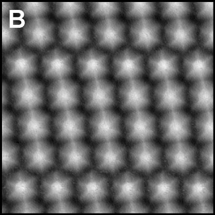Title:single_molecule