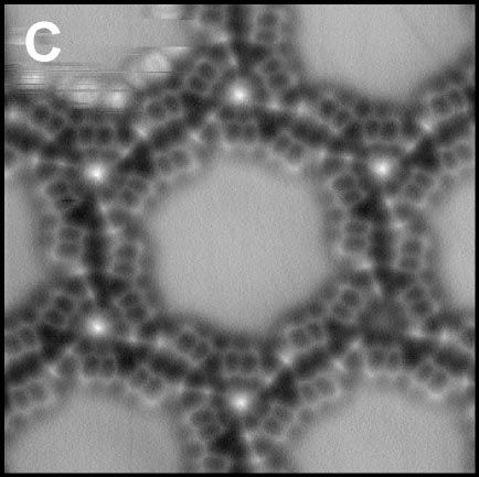 Title:single_molecule