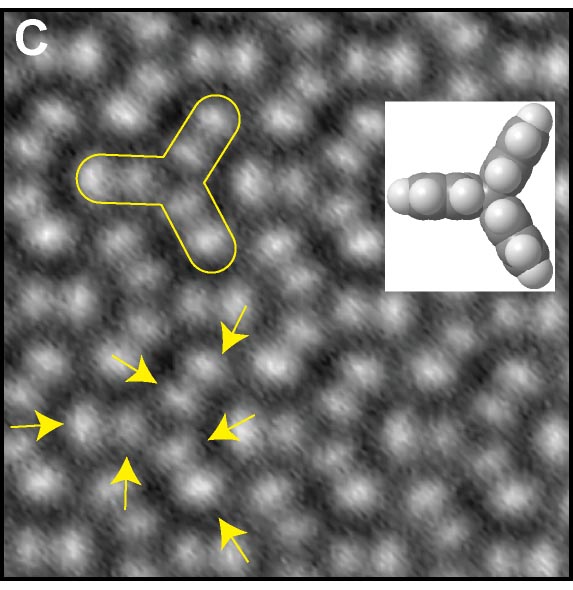 Title:single_molecule