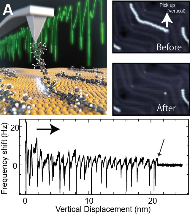 Title:single_molecule