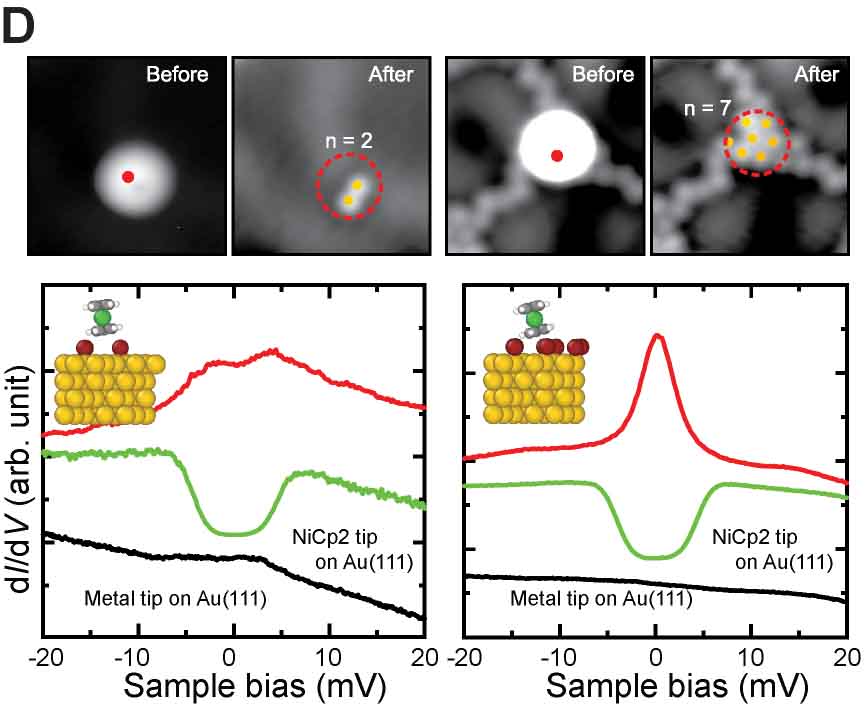 Title:single_molecule