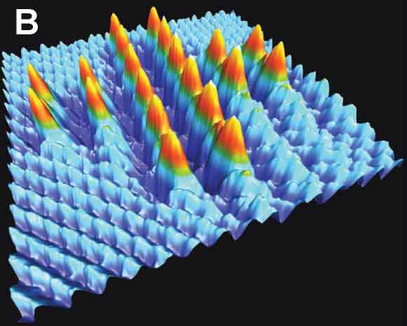 Title:single_molecule
