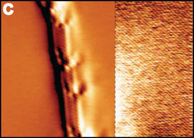 Title:single_molecule