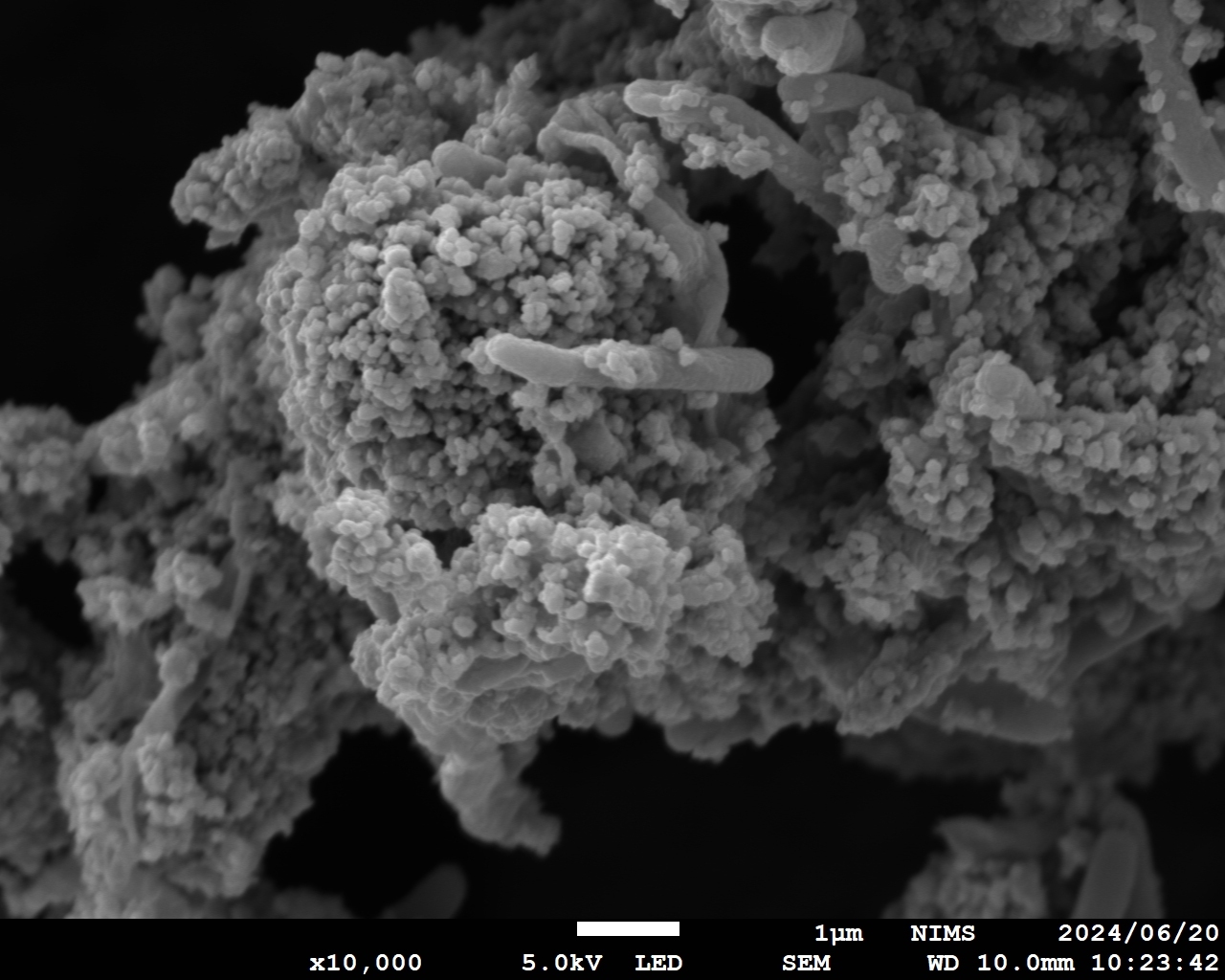 SEM Image