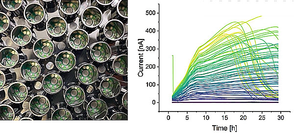 Image of 96-well electrochemical system producing 96 distinct temporal profiles of microbial current generation (i-t curve) under potentiostatic conditions