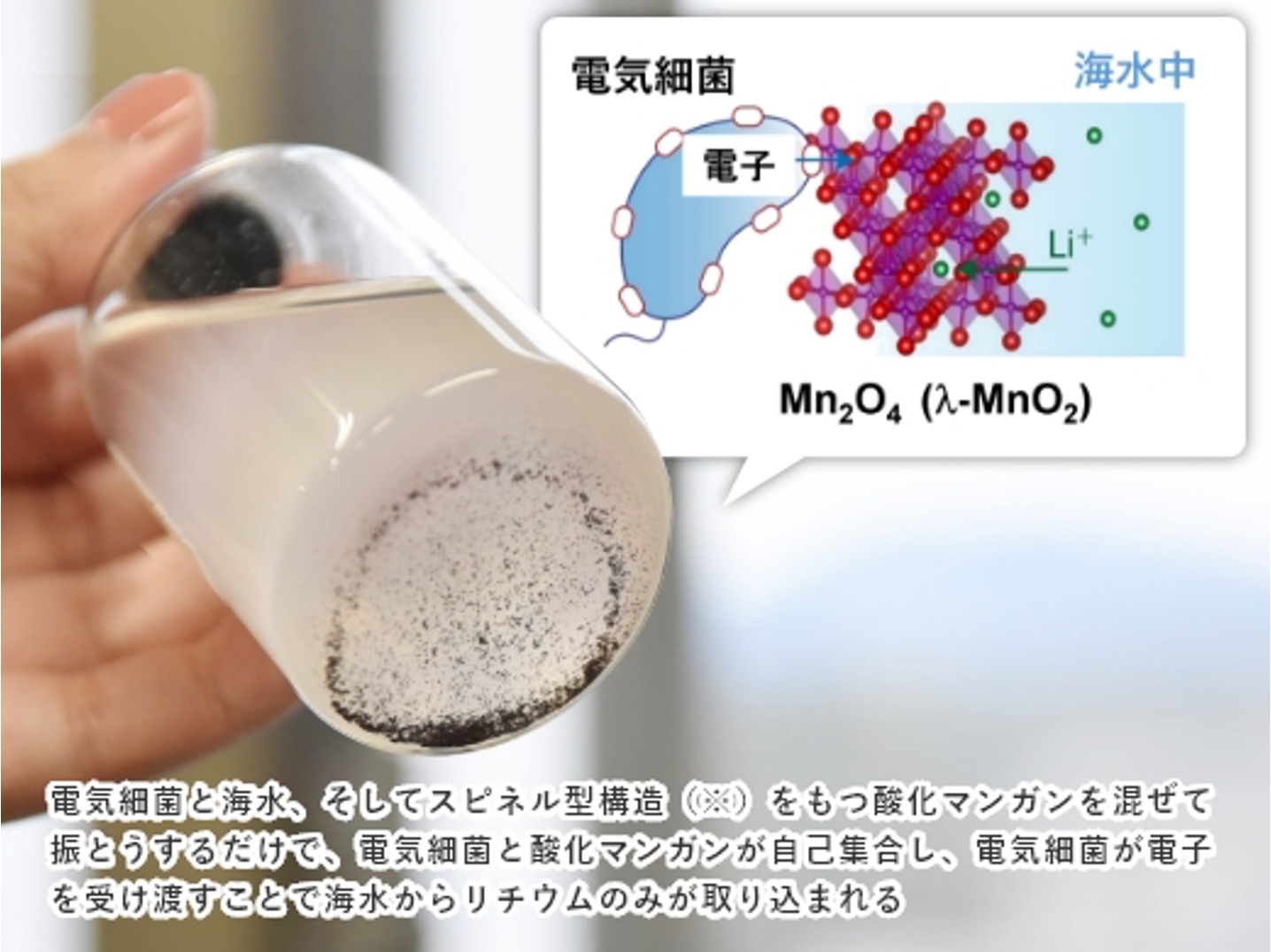 Shewanella oneidensis MR-1, electrogenic bacteria, provides electrons outside the cell by extracellular electron transport (EET). On the other hand, λ-MnO2 with a spinel structure is a Li-ion sieve that prevents the intercalation of larger ions (e.g., Na+, K+, Ca2+). In this method, MR-1 and λ-MnO2 are self-agglomerated at the bottom of the reactor, and Li ions in the solution intercalates into λ-MnO2 due to the charge compensation for electrons supplied by MR-1.