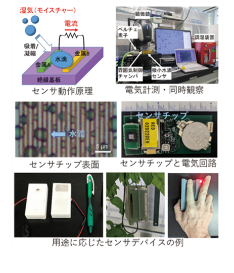 金属アレイ構造による電気特性評価の研究イメージ