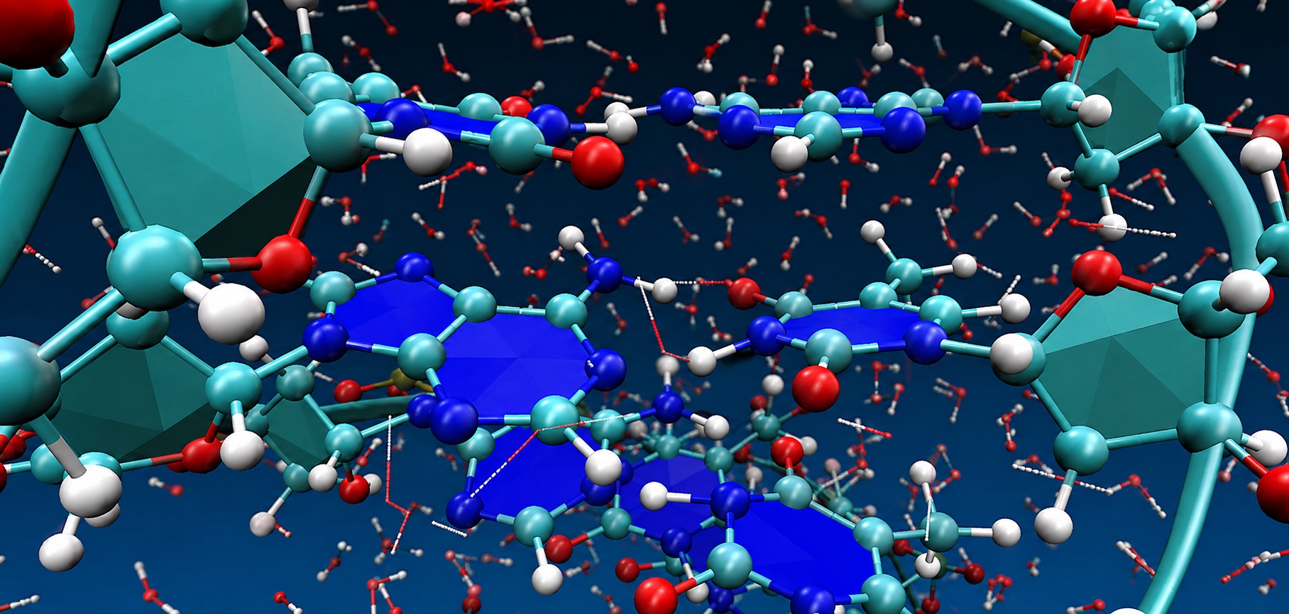 Scientific Simulation Visualization