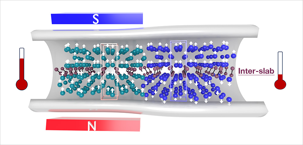 Graphical abstract for efficient magnetic cooling through covalent bond control.