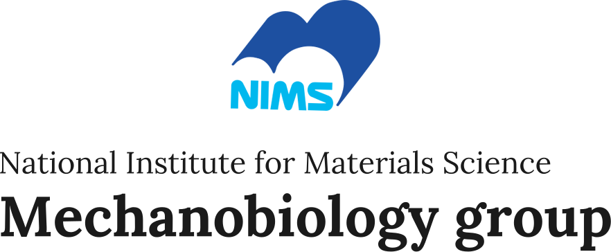 Mechanobiology group