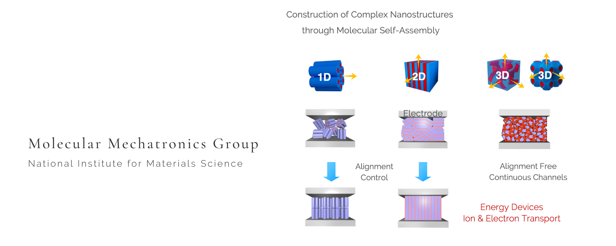 main Molecular Mechatronics Group