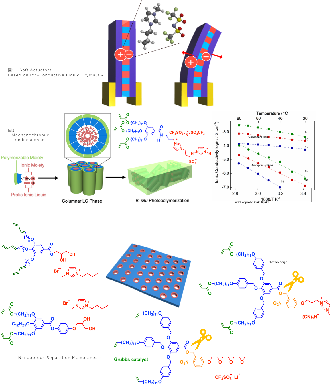 research liquid crystal actuator and Nanoporous Separation Membranes