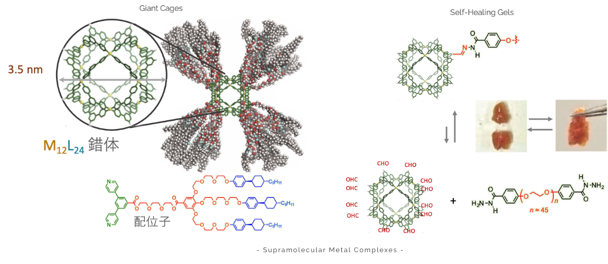 research Supramolecular Metal Complexes