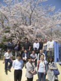 130404_hanami.jpg