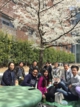 190405-Hanami.jpg