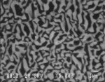 SEM image of eutectic fiber
