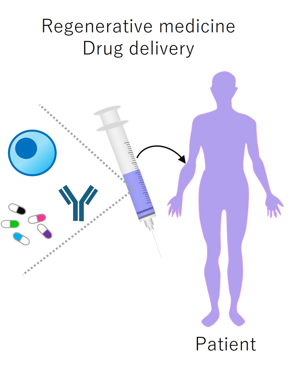 Schematic diagram of drug delivery involving the administration of cells, antibodies, and drugs to patients