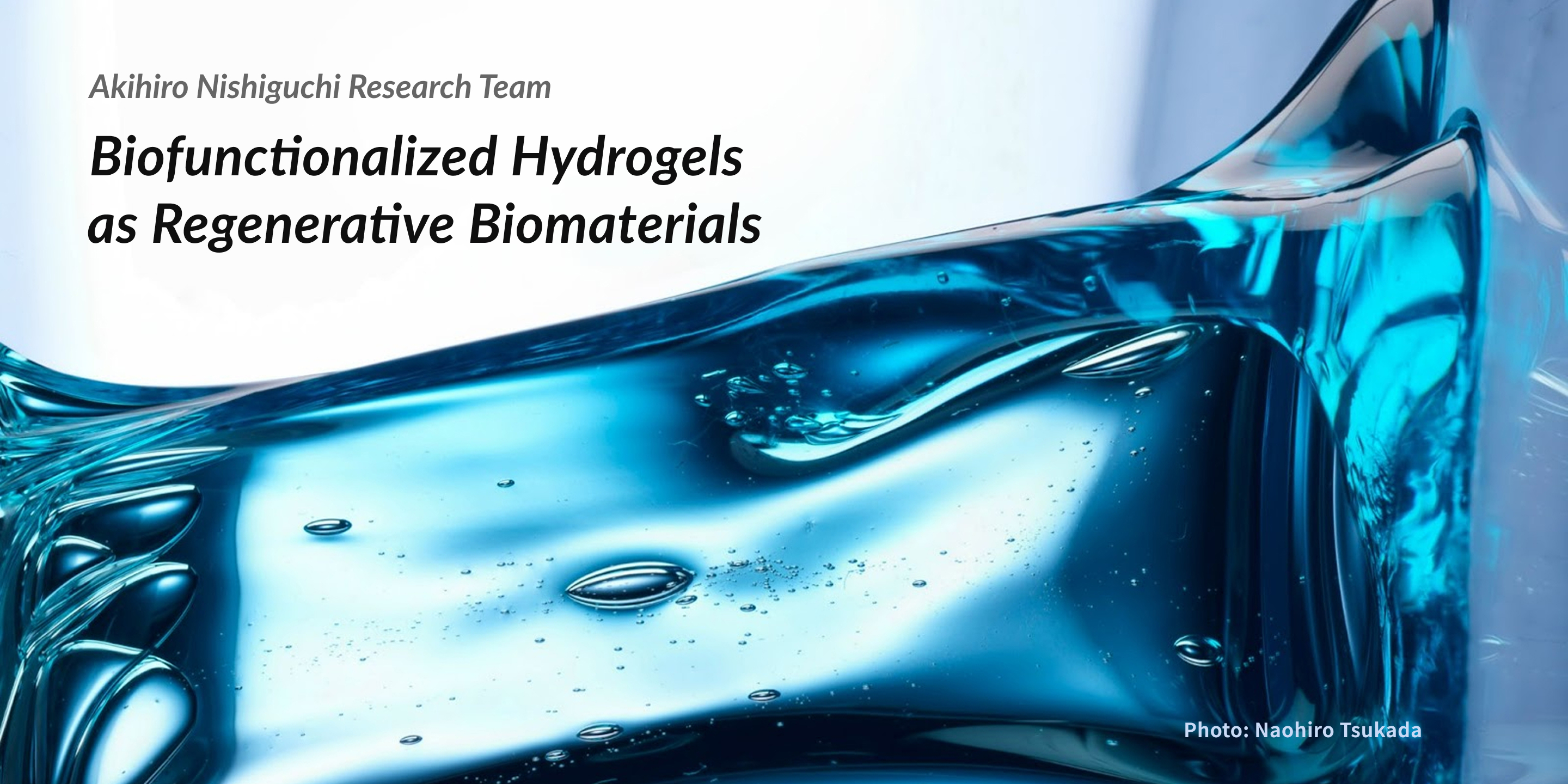 Akihiro Nishiguchi Research Team Biofunctionalized Hydrogels as Regenerative Biomaterials