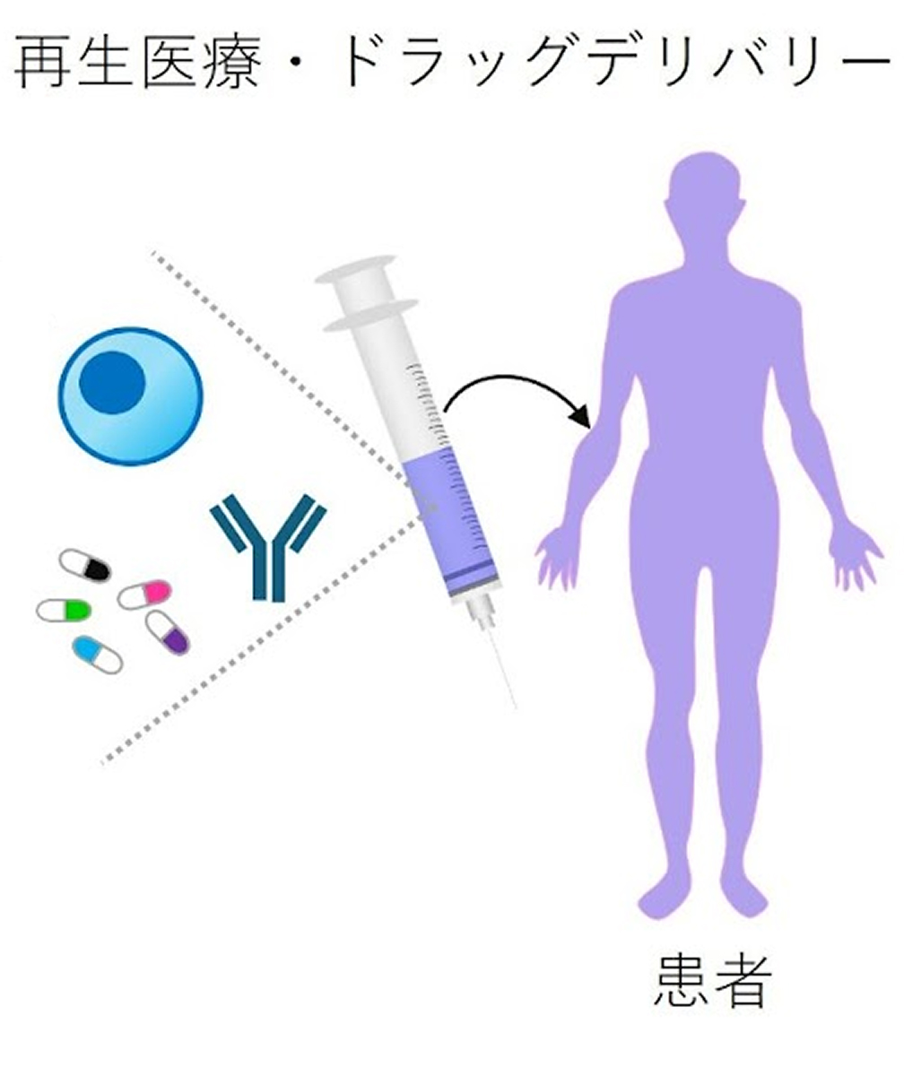 細胞・抗体・薬剤を患者に投与するドラッグデリバリーの概念図