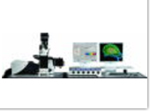 Confocal Laser Microscope (TCS SP5)
