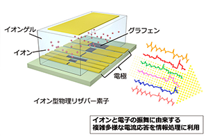 本研究で開発したイオン型物理リザバー