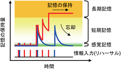 研究概要図