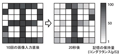 研究概要図