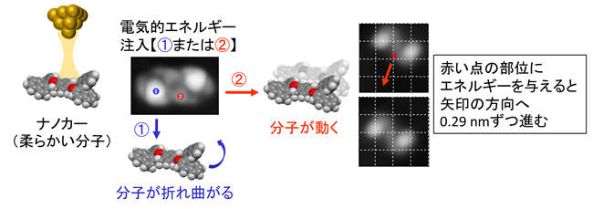 研究概要図