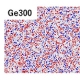 プレスリリース中の図 : TEM画像を用いて抽出した構造的特徴。Ge25にはゲルマニウム原子鎖の短いリング (赤点) が多い、Ge300には原子鎖の長いリング (青点) が多いことがわかります。