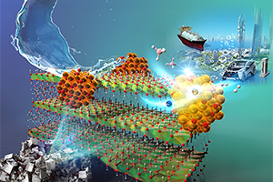 細胞に無害な赤色光〜近赤外光を2種類用いて励起することにより、 細胞内でDNAとRNAを同時に見分ける