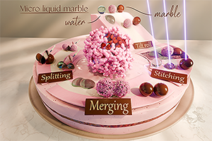 マイクロリキッドのワンダーランド