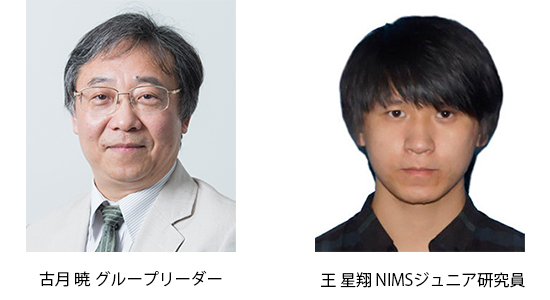 古月 暁 グループリーダーと王 星翔 NIMSジュニア研究員