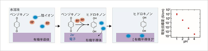 開発した手法の機構およびpHによる有機半導体薄膜のドーピング量制御。