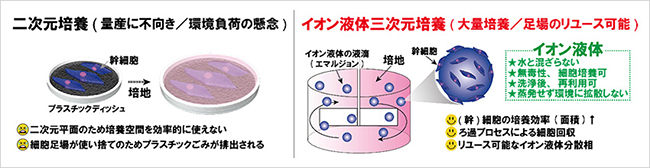 プレスリリース中の図 : 従来の二次元細胞培養と本研究の提案するイオン液体三次元培養の比較