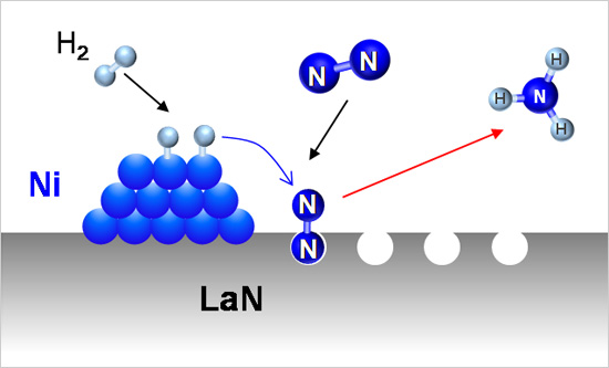 プレスリリース中の図 :  Ni担持LaNでのアンモニア合成の機構。キーとなる窒素分子の活性化を窒素欠陥が担っており、ニッケルは水素の解離のみを行う。