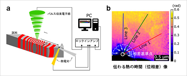  (a)新手法のシステム構成図と(b)多結晶窒化アルミニウムで伝わる熱の時間 (位相差) 像。