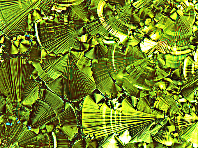 和傘 Liquid crystal ‘wagasa’ texture 画像