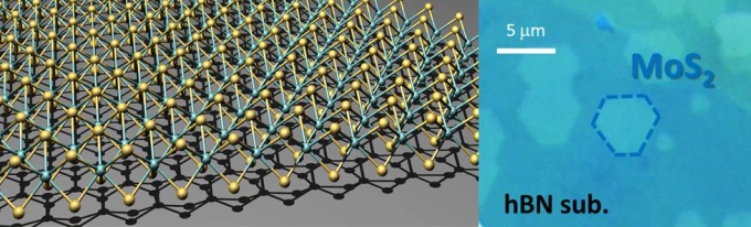 二次元半導体(TMD)の構造モデル図とhBN上に成長した単層MoS2の光学顕微鏡造