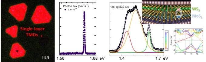 二次元半導体・ヘテロ構造のPL像およびスペクトル