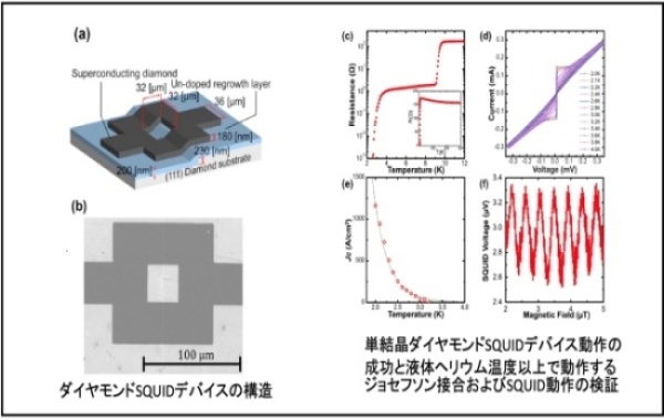 図1 SQUID応用に向けてのロバストなダイヤモンドSQUIDデバイス開発<br>T.Kageura et al.,Sci.Rep.9,15214(2019)