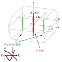 図3 実験から求められたフェルミ面<br>T.Terashima et al.,Phys.Rev.X,8,011014(2018)